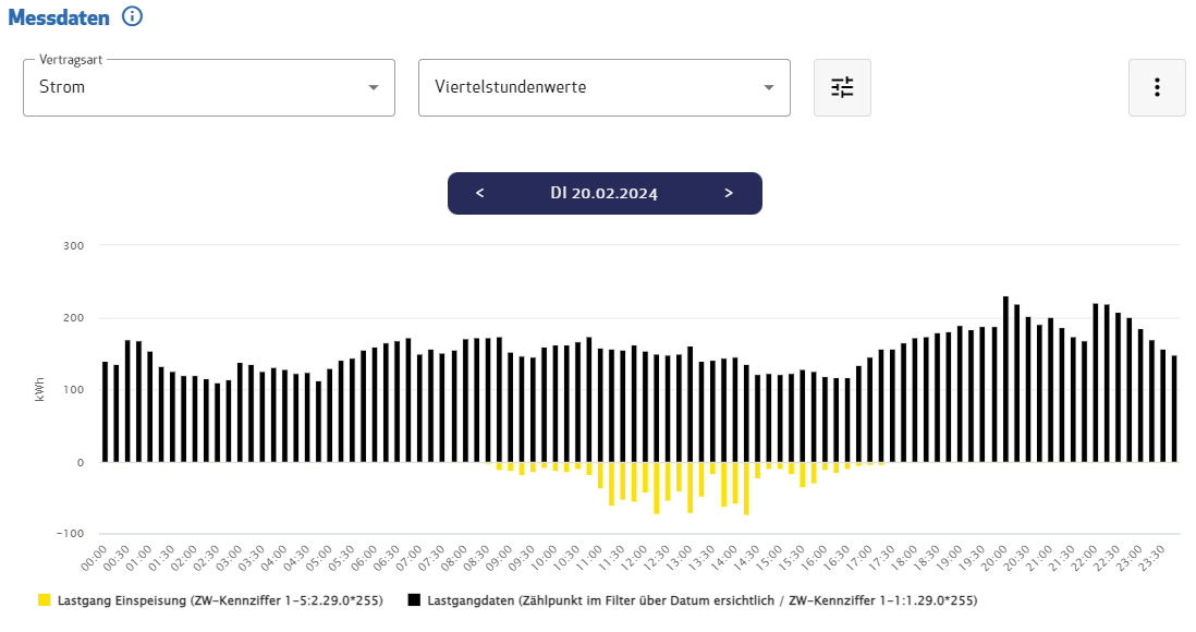 Übersicht Kundenportal mit Lastgang Einspeisung und Lastgangsdaten