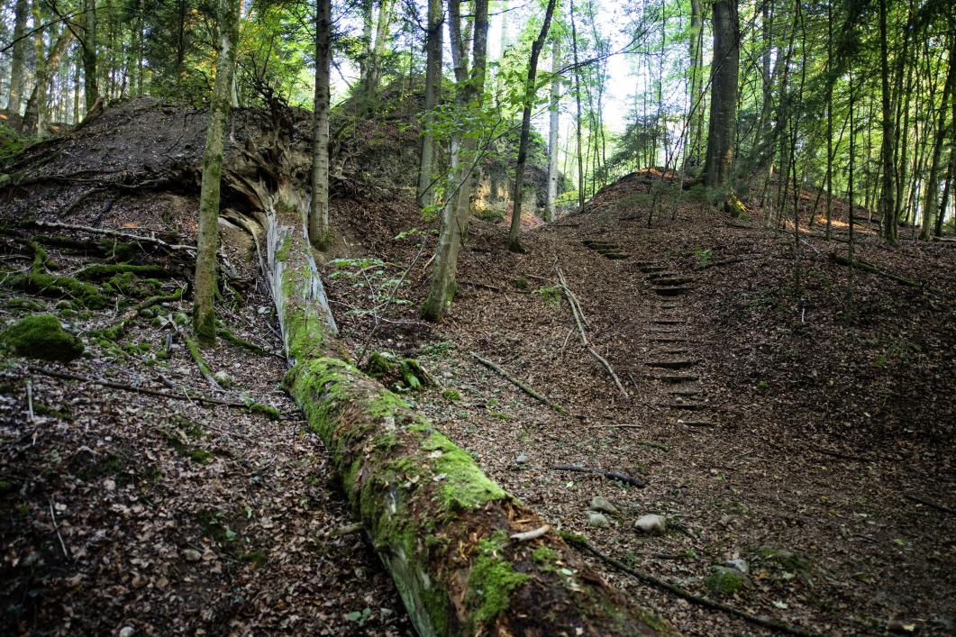 Burgruine Stein in Baden