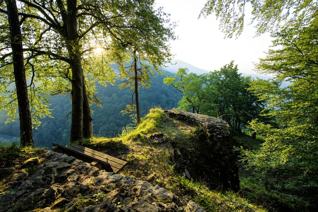 Burgruine Königstein in Küttingen