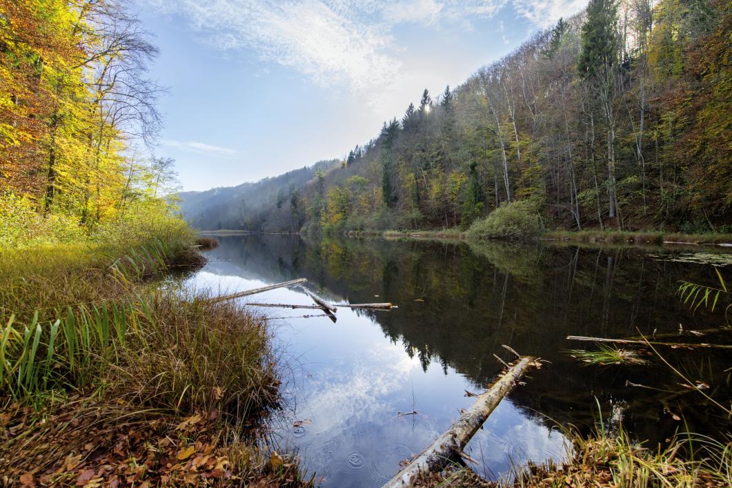 Der Egelsee