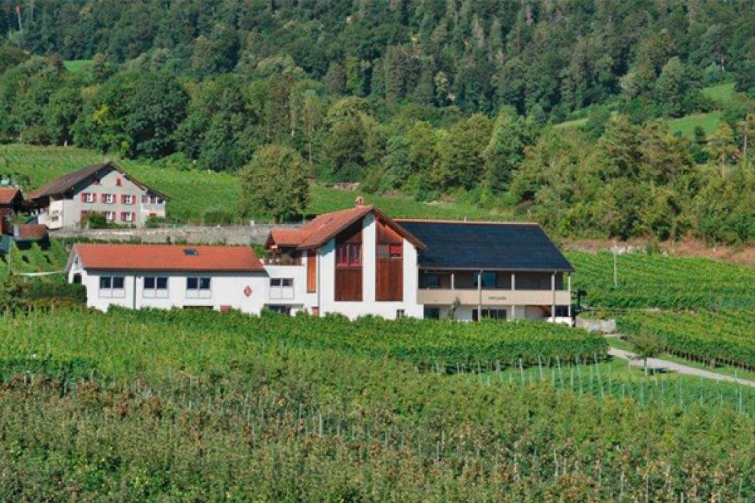 Energiereise ARA Chur, Weinbau Lauber und Vaduz
