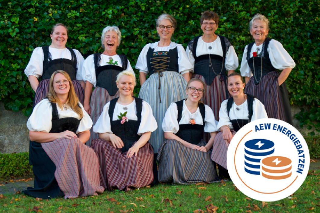 AEW Energiebatzen: Projektsponsoring