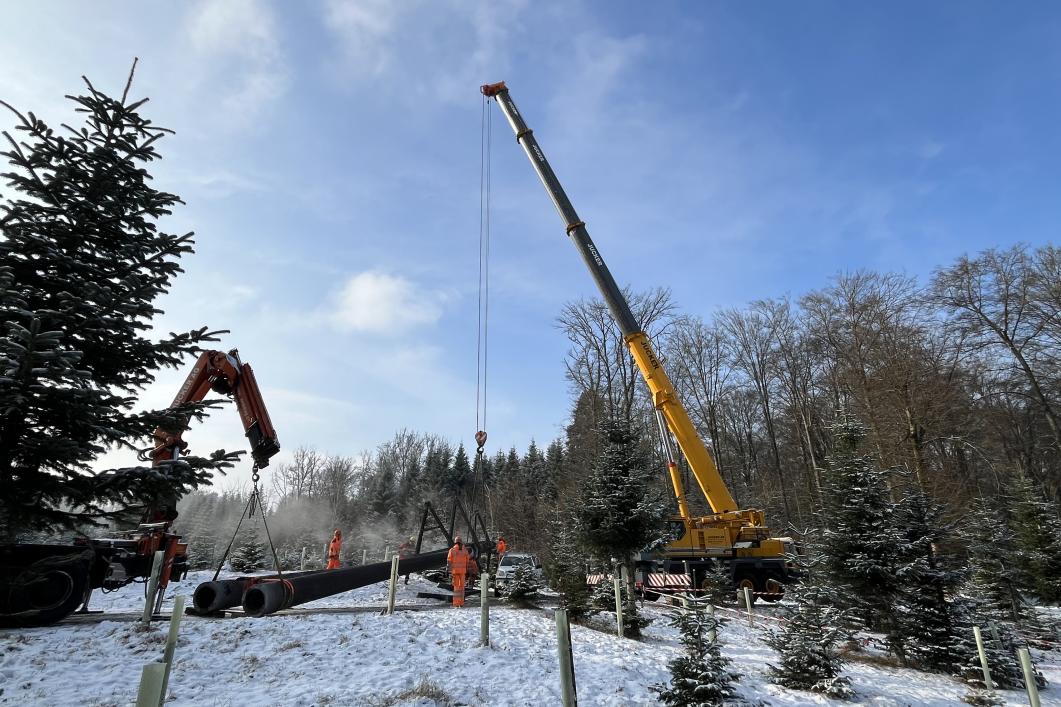 Rückbau der Strommasten im Zopfhau Bremgarten