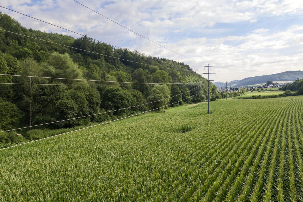 AEW Netznutzung für Verteilnetzbetreiber