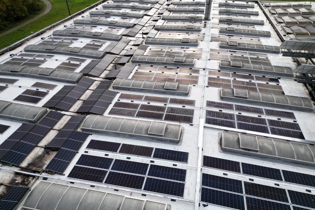 PV-Anlage auf dem Dach der Zehnder AG in Gränichen 