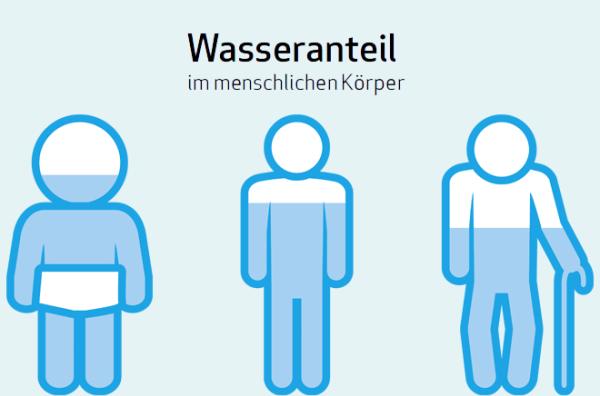 Wasseranteil im menschlichen Körper