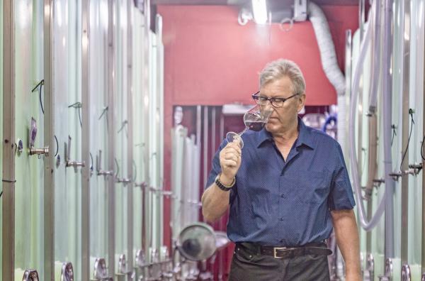 «Ein Rebberg – das ist pure positive Energie»