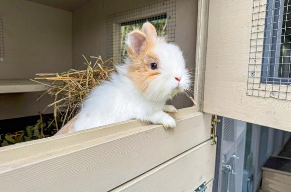 Die Abstimmung ist entschieden – die Gewinner des AEW Energiebatzens stehen fest!