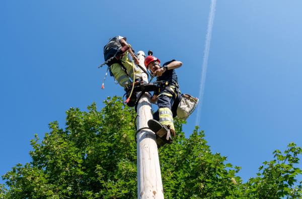Karriere im Netz